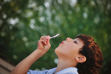 生肖起名:十二生肖文雅至極的名字鑒賞